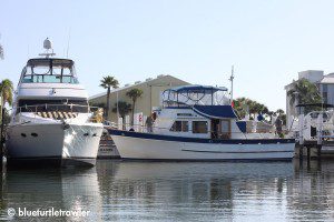 Blue Turtle at Palm Island Marina