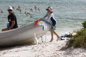 Boys feeding snowy egret
