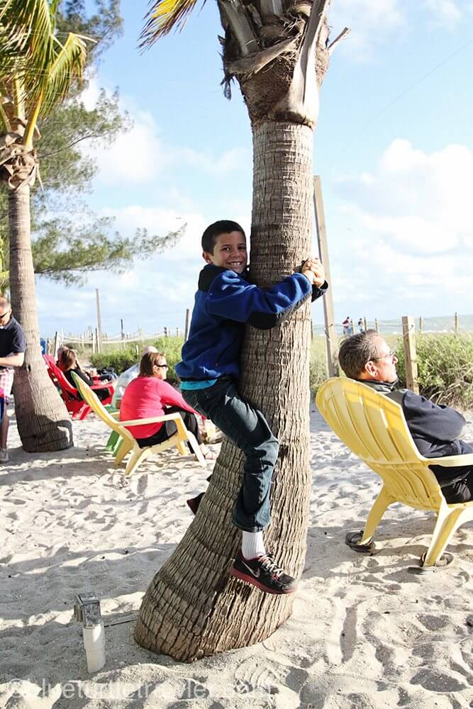 Corey attempting to climb a palm tree
