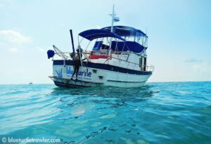 Diving the Dry Tortugas