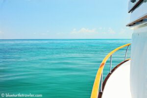 More diving, fishing and a visit from Sea Crazy