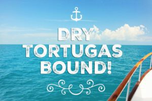 T-O-R-T-U-G-A-S Bound!