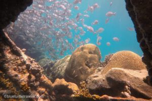 Windjammer wreck, Dry Tortugas