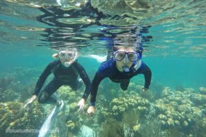 Snorkeling and diving the Dry Tortugas