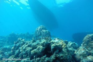 Off Ramp and Davis Rock, Dry Tortugas