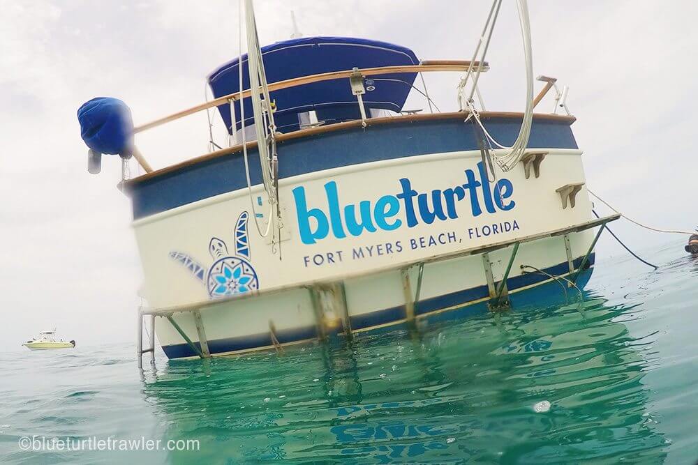 Blue Turtle post-dive