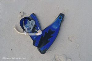 Day 2 in the Dry Tortugas: Snorkeling and more snorkeling