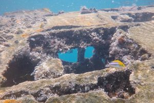 Diving Alexander's Wreck, Key West