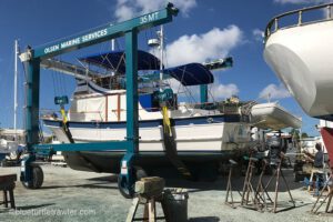 Blue Turtle hauled out