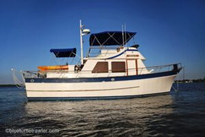 Why we removed the isinglass from Blue Turtle