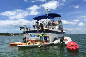 Spring Break cruising stay-cation