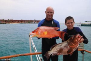 Spearfishing at the Tortugas Bank