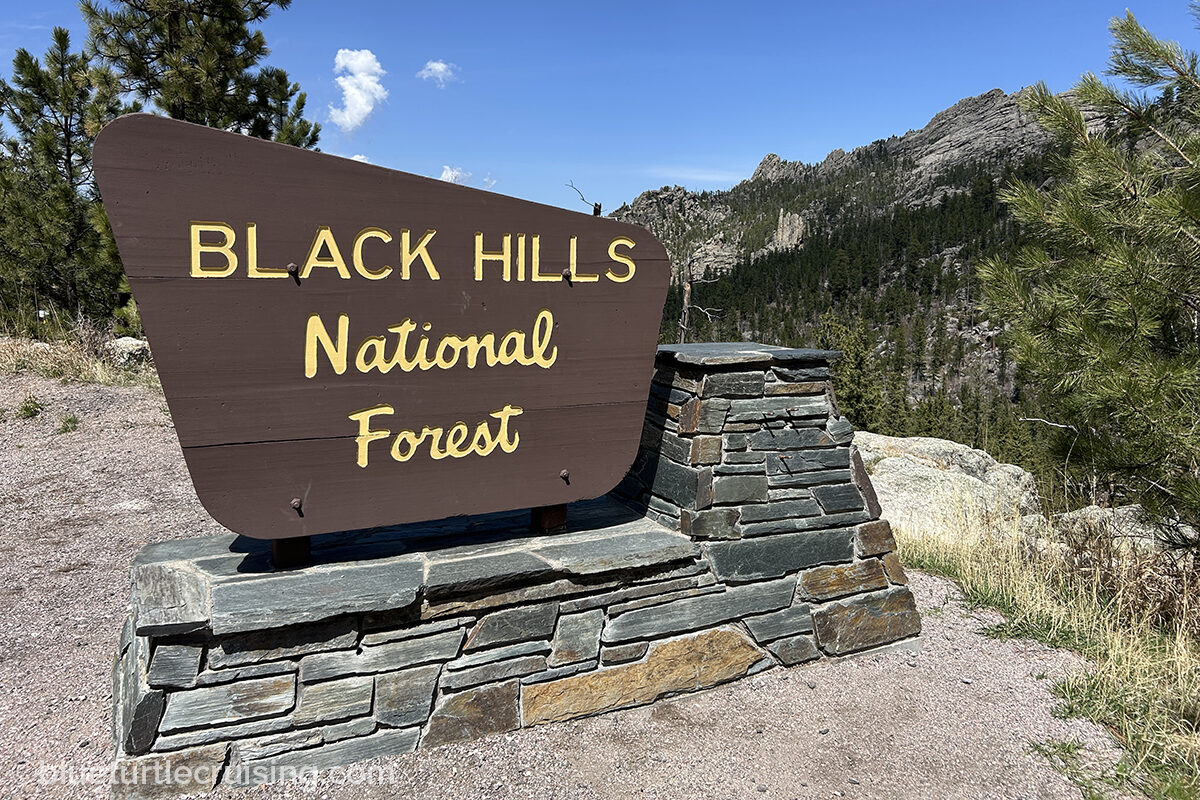 Custer State Park: A Black Hills must-see and do
